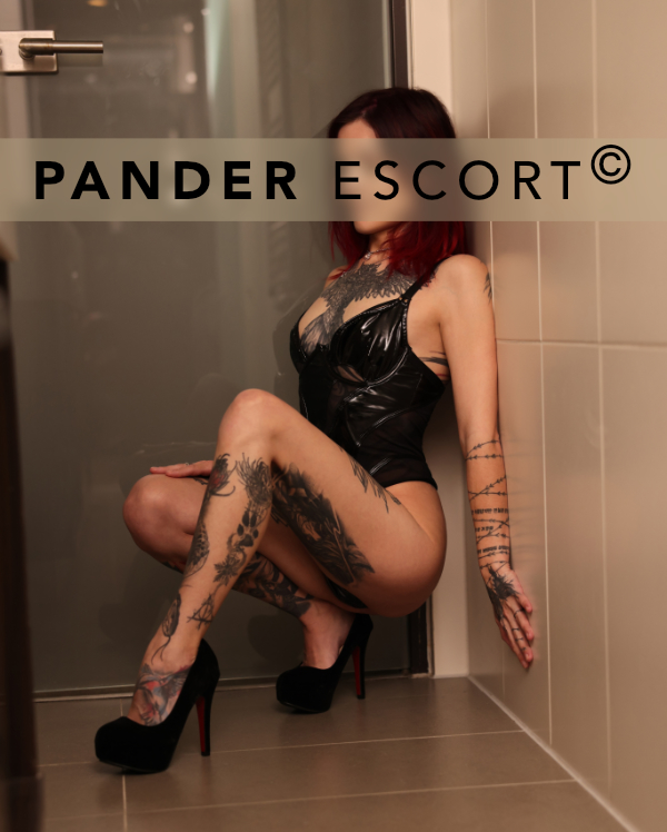 Escort Stuttgart Alex