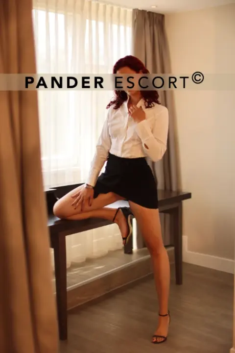 Pander Beitragsbild Lisa